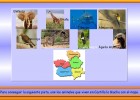 La fauna de Castilla-La Mancha | Recurso educativo 33441