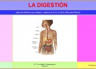 La digestión | Recurso educativo 34779