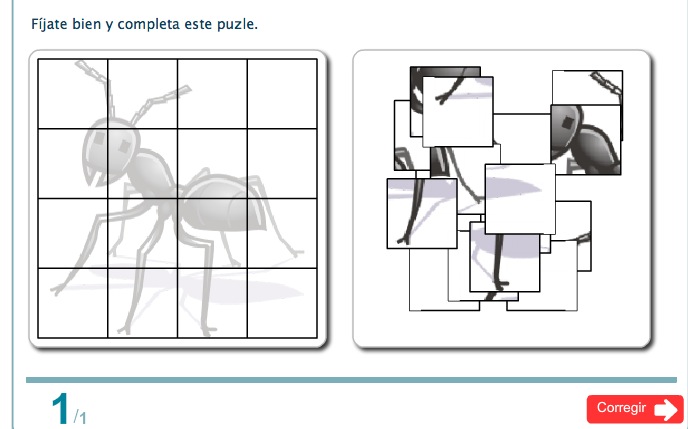 El puzzle de la hormiga | Recurso educativo 36101