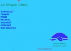 Les tortugues marines | Recurso educativo 38276