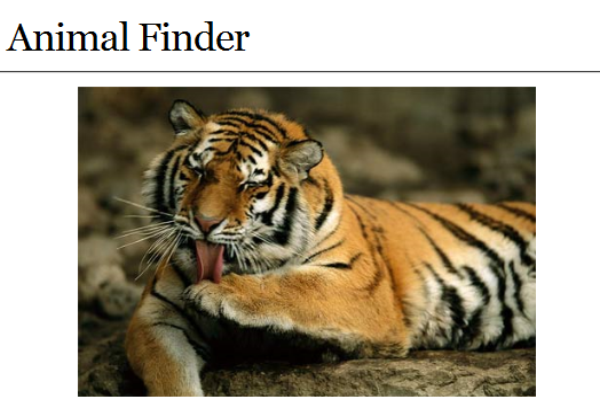 Webquest: Animal finder | Recurso educativo 43118
