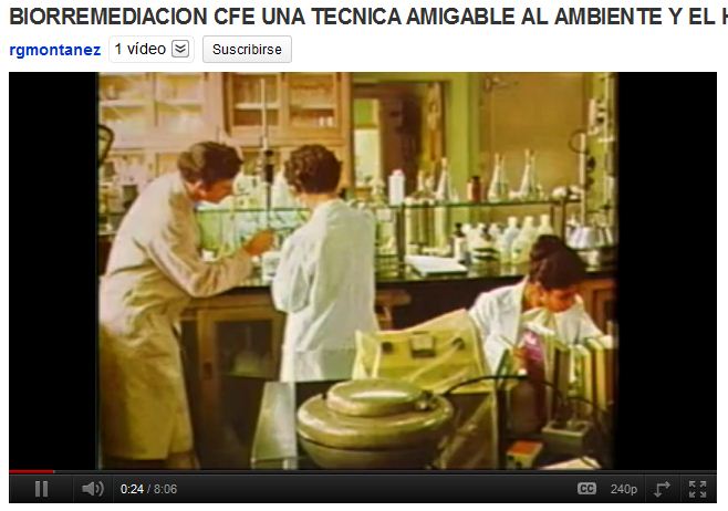 Bioremediació | Recurso educativo 48099