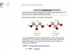 Isómeros estructurales | Recurso educativo 48740