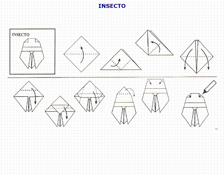 Origami: insecto | Recurso educativo 49750