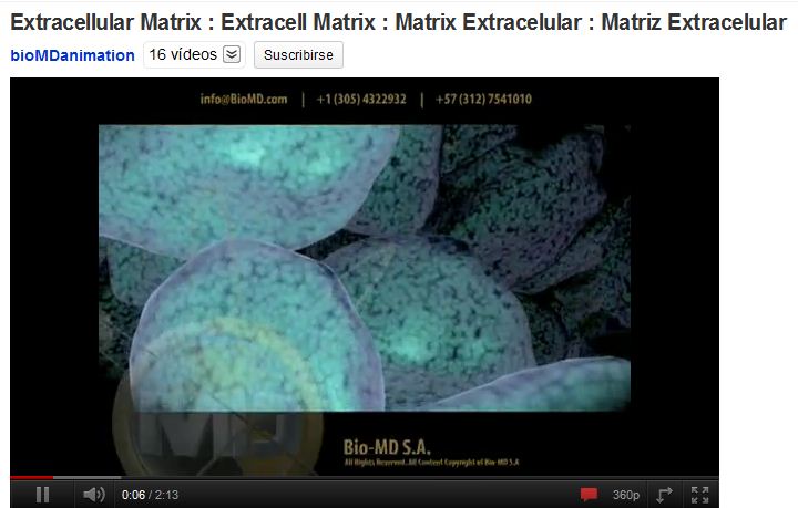 MAtriu extracel·lular | Recurso educativo 49795
