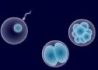 Fuentes de células madre | Recurso educativo 52175