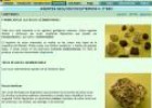 La formación de las rocas sedimentarias | Recurso educativo 13888