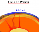 Dinámica de Wilssson | Recurso educativo 15596