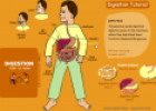 Digestion tutorial | Recurso educativo 25801