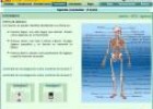 Los tipos de huesos | Recurso educativo 28006