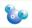 La molécula de agua | Recurso educativo 65695