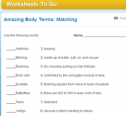 Amazing body terms: Matching | Recurso educativo 69895