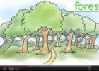 Video: Nature | Recurso educativo 69906
