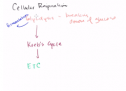 Glycolysis | Recurso educativo 72063