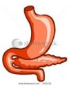 Biología del Aparato digestivo | Recurso educativo 79342