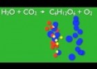 What is Photosynthesis | Recurso educativo 91927