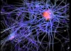 Redes Neuronales (Funcionamiento) | Recurso educativo 94950