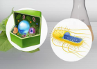 Biotechnology | Virtual Experiment | Produce EPO | Recurso educativo 677013