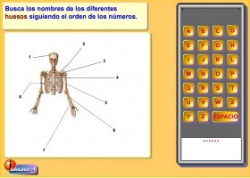 Nombres de los huesos | Recurso educativo 686185