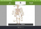 Huesos del Cuerpo Humano | Recurso educativo 686187