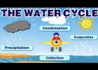 The Water Cycle: Collection, Condensation, Precipitation, Evaporation, | Recurso educativo 724826