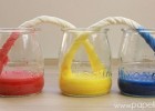 Experimentos para niños: Capilaridad y colores | Recurso educativo 725604