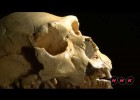 Archaeological Site of Atapuerca (UNESCO/NHK) | Recurso educativo 726858