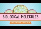 Biological Molecules - You Are What You Eat: Crash Course Biology #3 | Recurso educativo 745508