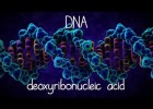 Estructura del ADN | Recurso educativo 749733