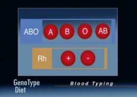 Grups sanguinis | Recurso educativo 758561