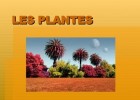 Les Plantes | Recurso educativo 768684