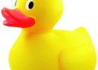 Rubber duck | Recurso educativo 769160