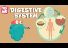 Video about the digestive system | Recurso educativo 769315