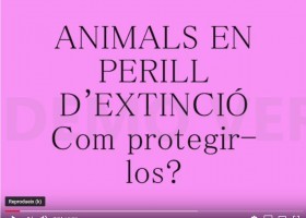 Animals en perill d'extinció | Recurso educativo 777170