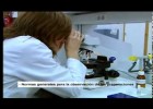 Técnicas Básicas no Laboratorio de Microbioloxía. Microscopio óptico | Recurso educativo 785834