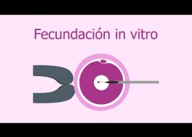 Fecundación in vitro | Recurso educativo 786084