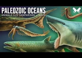 Animales acuáticos del Paleozoico | Recurso educativo 788408