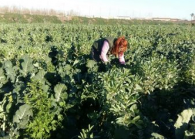 The women who guide crop diversification in Europe | Recurso educativo 784832