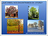 En otoño | Recurso educativo 36583