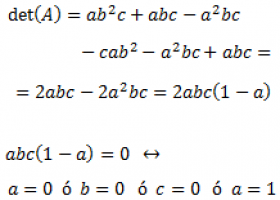 DETERMINANTES DE MATRICES CON PARÁMETROS: MATRICES REGULARES: EJEMPLOS Y | Recurso educativo 767907