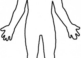 Silhouette of the human body | Recurso educativo 773479