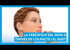 L'olfacte i el gust, i la percepció del món | Recurso educativo 786958